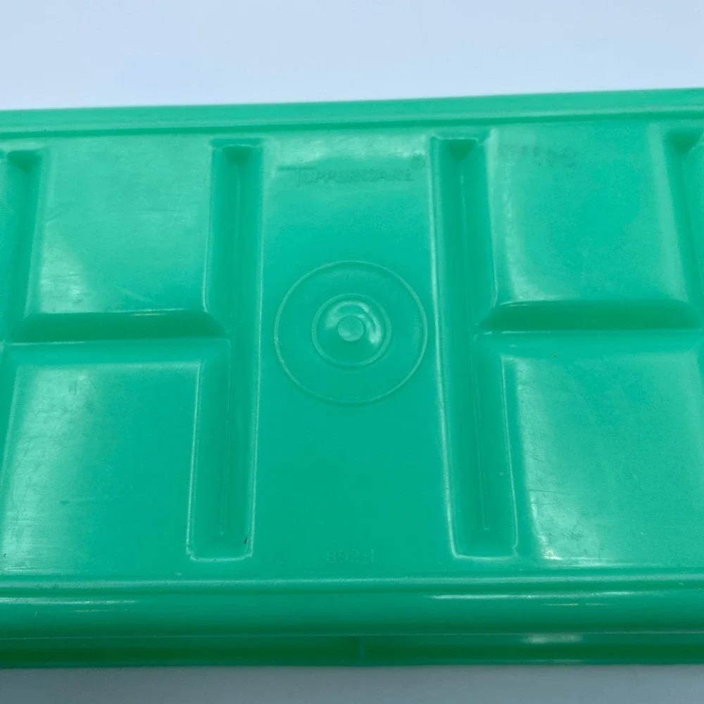 Tupperware vintage celery